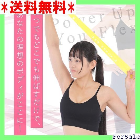 ☆人気商品 Lodi fit トレーニングチューブ エクササイズバ 宅 ヨガ バンド 筋トレ フィットネス ストレッチ 127