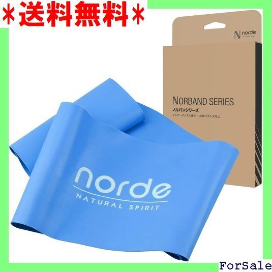☆人気商品 日本メーカー トレーニングチューブ 体幹トレーニング クササイズ ド バランス感覚向上 ゴムバンド ノルバン 146