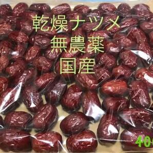 乾燥 ナツメ 無農薬400g