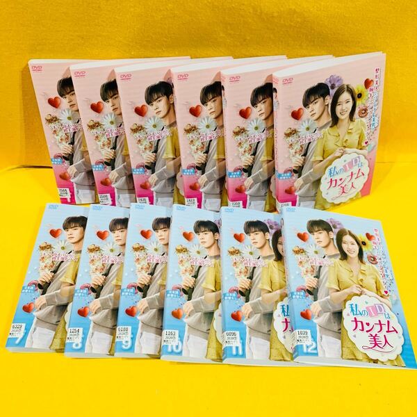 私のidはカンナム美人 DVD 全12巻 全巻セット 韓国ドラマ 全24話