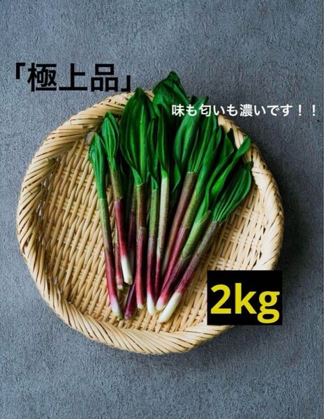 行者ニンニク北海道産2kgとれたて