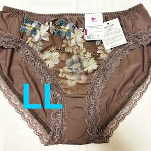 Wacoal ワコール ショーツLL ブラウン