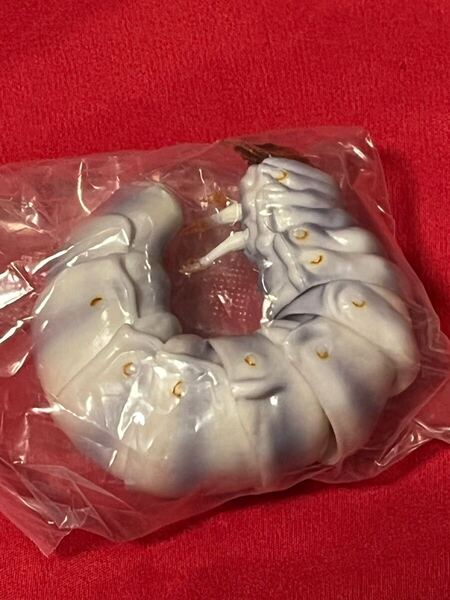 いきもの大図鑑 ノコギリクワガタ幼虫