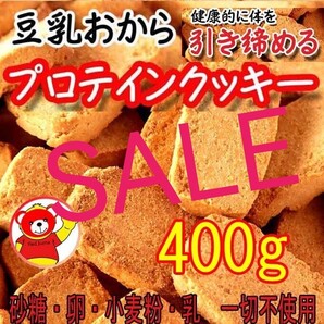 値引き 豆乳おからプロテインクッキー/200gx2(400g) / 6/16