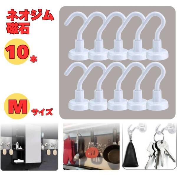 キッチン レンジフード 収納 10個セット 白 フライパン フック マグネットフック Mサイズ