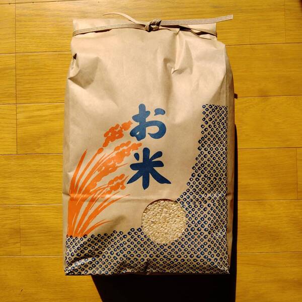 令和6年 コシヒカリよりおいしい? 新品種 粒すけ 5キロ(玄米)