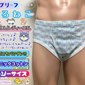 ■パンティー■ショーツ■しろねこ■レディース3L■170cm~180cm■ガールズブリーフ■クロッチ無し■前開き■1枚■ならぱんちゅはんばい■