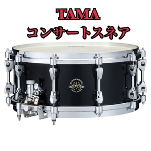 タマSTARPHONIC Maple Bravura Concert Snare