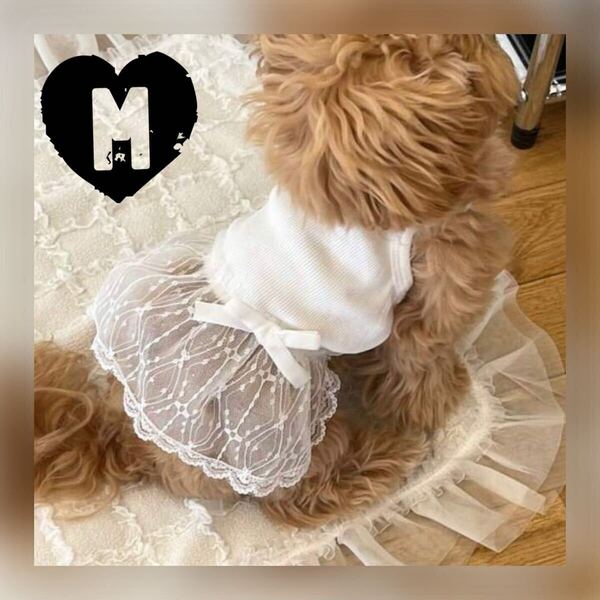 M レース シアー キャミ ワンピース (白) 犬服 猫服 犬の服 小型犬 ペット服 ペット用品 スカート ドッグウェア リボン 夏