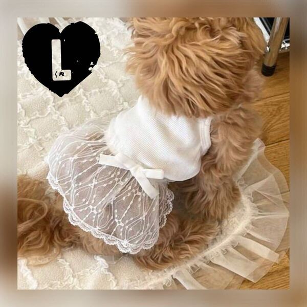 L レース シアー キャミ ワンピース (白) 犬服 猫服 犬の服 小型犬 ペット服 ペット用品 スカート ドッグウェア リボン 夏