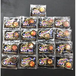 スーパーストリートファイター ターンキーチェーン 【17種セット】
