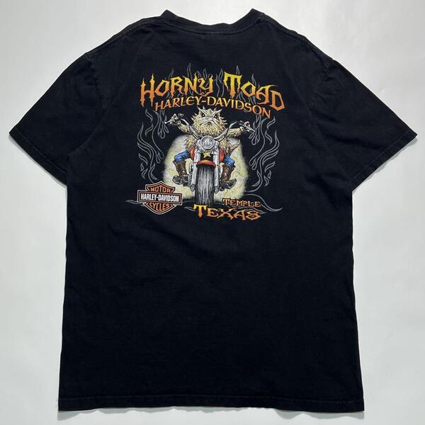 HARLEY DAVIDSON ハーレーダビッドソン ハーレーTシャツ L 黒 ブラック テキサス 両面プリント HTK6700