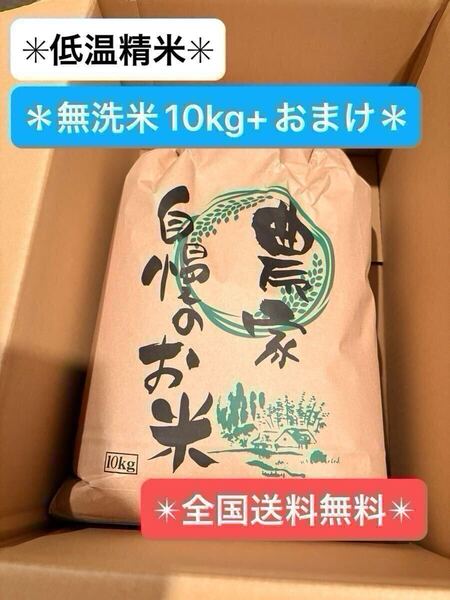 【新潟より全国へ送料無料にて発送致します♪】無洗米10kg×1袋 ★訳ありブレンド米 ★低温精米にて精米致します! ⑤