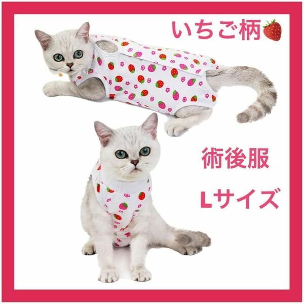 【ねこ用】【Lサイズ】術後服 保護服 いちご柄 引っ掻き防止 マジックテープ