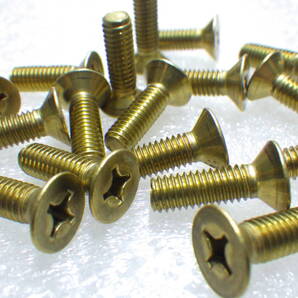 真鍮 6×20 プラス 6ミリ 皿小ねじ ネジ ビス 17本 M6