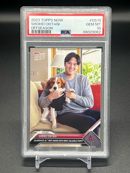 PSA10! 2023 Topps Now Shohei Ohtani Decoy 大谷翔平 デコピン MVP OS19 鑑定済み MLB Dodgers Angels ドジャース エンゼルス WBC 日本