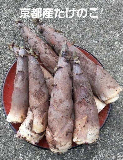 京都産 無農薬朝掘り採れたてたけのこ約2キロ
