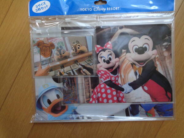 ディズニー☆実写☆ミッキーフレンズ☆ファスナー付き☆フラット☆ケース☆3セット☆東京ディズニーリゾート☆disney☆ミニーチップデール
