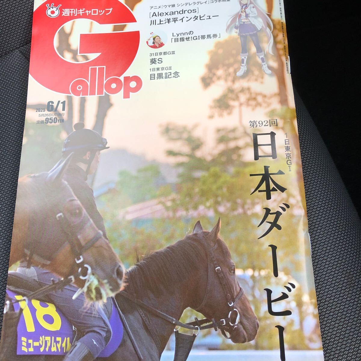 週刊　ギャロップ　まとめ売り 2000年 2001年 2002年 希少13冊セット 2000年〜2001年 週刊Gallop ギャロップ - メルカリ