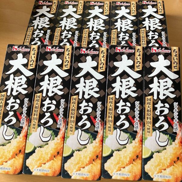 *ハウス・ちょいのせ大根おろし*40g×10本セット *賞味期限2025年10月・まとめて