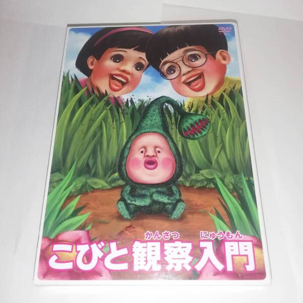 ◎こびと観察入門 マモリカブトBOX ◎DVDディスク2枚組 ◎こびとづかん ◎PCBE-63269