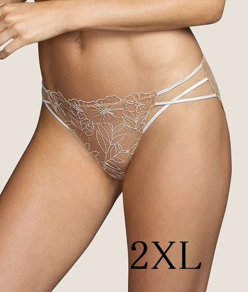 2XL☆Andres Sarda アンドレサルダ Tarsilia 海外高級 透け感あり ショーツ