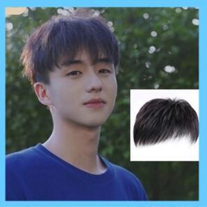 男性用 ツーブロック ウィッグ 韓国男子 コスプレ 医療用 かつら イメチェン