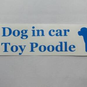 DOG IN CAR(犬が乗ってます)ステッカー トイプードル 横長 04