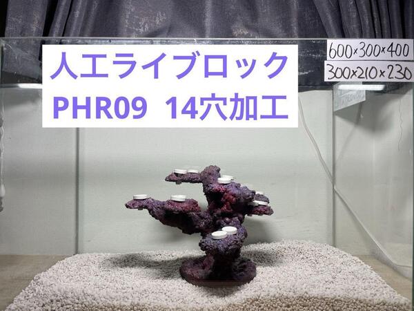 【送料無料】人工ライブロック PHR09/14穴加工 アク抜き済み安心塗料使用