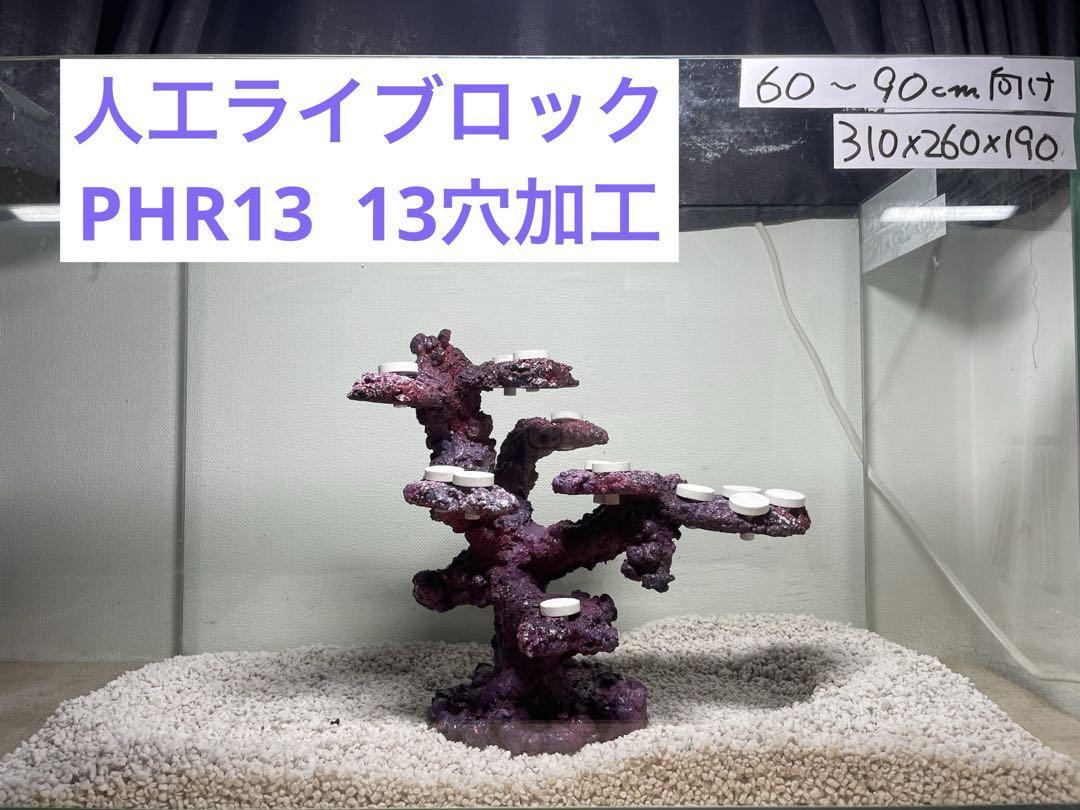 人工ライブロック R61 アク抜き済み安心塗料使用 人工ライブロック RR61 アク抜き済み安心塗料使用|Yahoo!フリマ