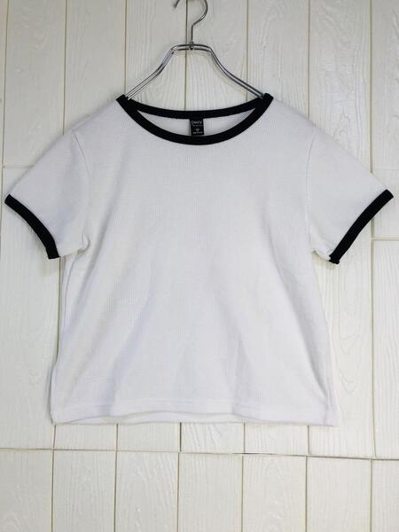 ホワイト リブ付き 半袖Tシャツ Mサイズ Dazy