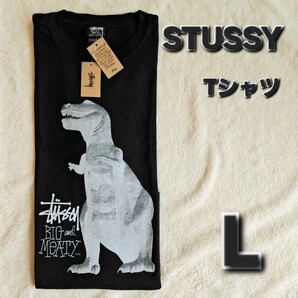 STUSSY BIG & MEATY PIG TEE Lサイズ ステューシー ブラック Tシャツ