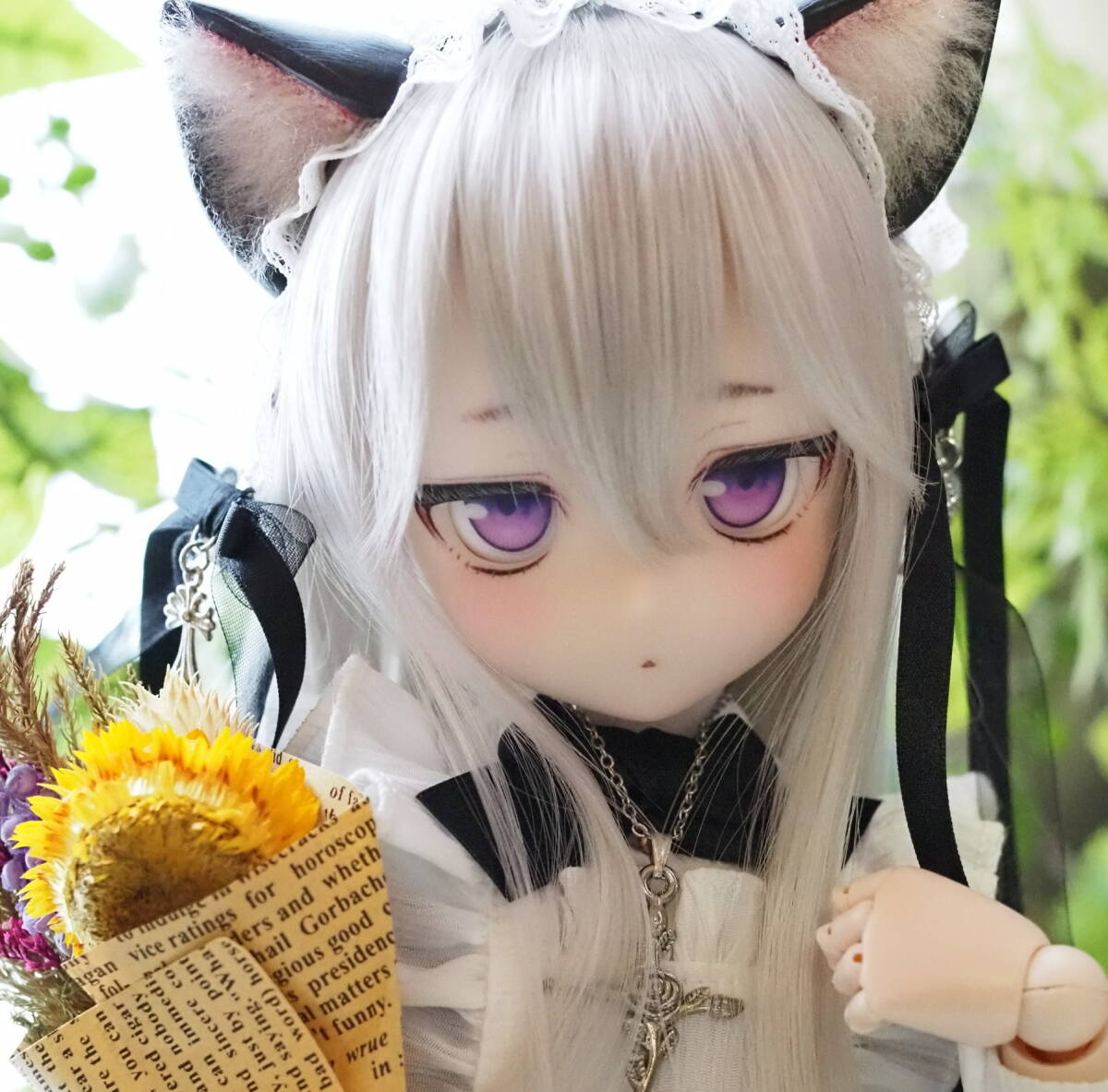ドルフィードリーム カスタムヘッド