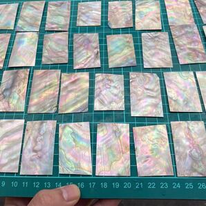 黒蝶貝 スライス 10枚セット 螺鈿細工 ハンドメイド ハンドクラフト 素材