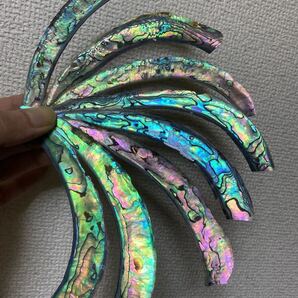 アワビ貝 ニュージーランド産 10枚セット 螺鈿細工 ハンドメイド ハンドクラフト ネイル用シェルパーツ などの素材