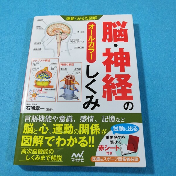 脳・神経のしくみ オールカラー (運動・からだ図解) 石浦章一/監修●送料無料・匿名配送