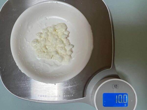 ケフィアグレイン 10g 説明書付き