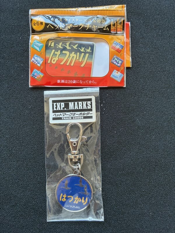 当時もの キーホルダー 特急 ヘッドマーク hedomaya_w1sr0820