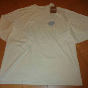 Patagonia/パタゴニア Responsibili - Tee/長袖Tシャツ/US M・L-XL位