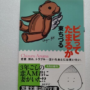 ビビってたまるか 東ちづる 結婚前提の恋人が既婚者とわかり、ホテルの一室で一人身を潜め消えてしまいたいと4日間。お腹が鳴って正気に。