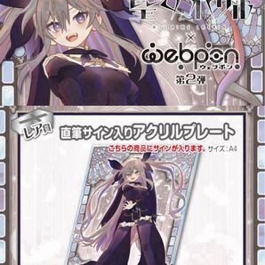 聖女れりあ 直筆 サイン コミケ hololive ホロライブ にじさんじ ぶいすぽ vtuber 誕生日記念 アクリルスタンド タペストリー 同人 VGGC