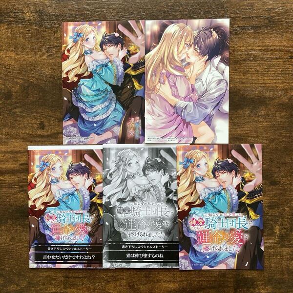 ◆特典のみ 番と知らずに私を買った純愛こじらせ騎士団長に運命の愛を捧げられました 書泉 OVERLAP アニメイト SSペーパー