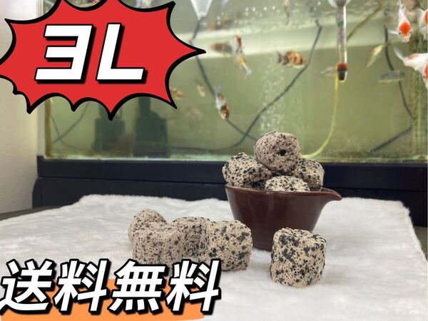 水質浄化抜群高品質納豆菌パワーリング3L当日発送送料込み 金魚 熱帯魚 水草 メダカ 淡水魚 アロワナ ダトニオ