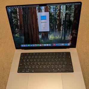 Apple MacBook Pro Liquid Retina XDR 16.2 MK1E3J/A (M1 Pro / 16インチ / SSD 512GB / RAM16GB)