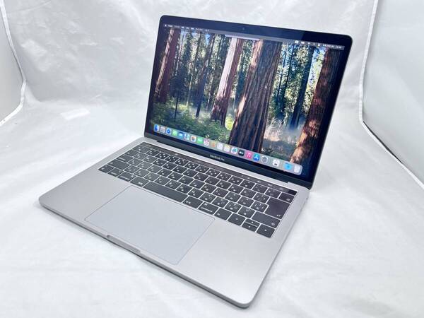 APPLE MacBook Pro (13-inch, 2019, Four Thunderbolt 3 ports) シルバー (Core i7-2.8GHz_16GB_512GB)_#300839