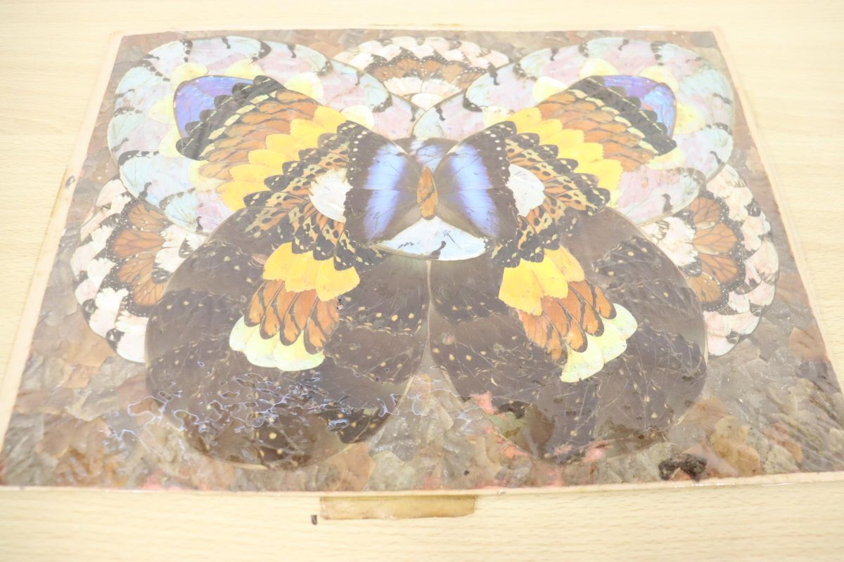 蝶 羽 絵画の値段と価格推移は？｜17件の売買データから蝶 羽