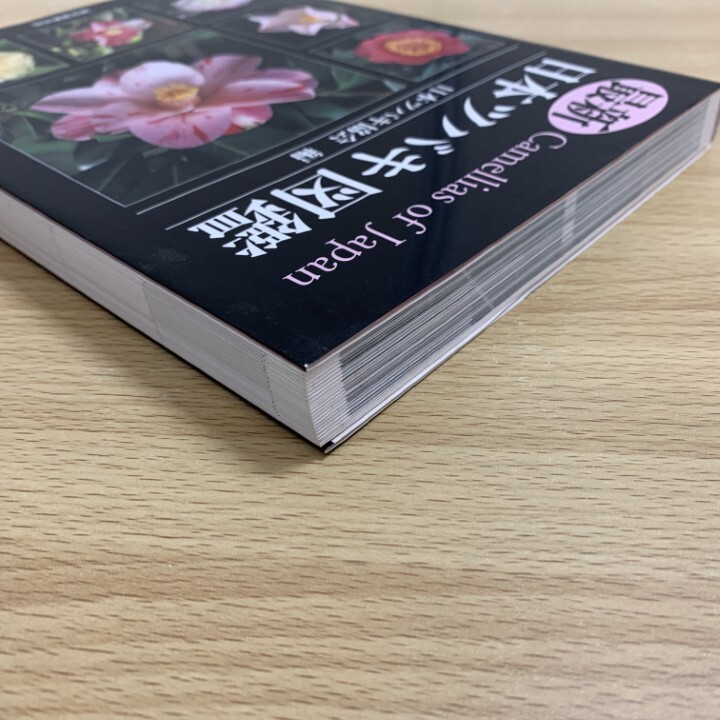 最新日本ツバキ図鑑 最新日本ツバキ図鑑 楽天ブックス: 最新日本ツバキ図鑑 - 日本