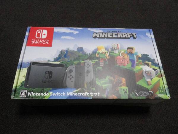 ☆Nintendo Switch Minecraft (マインクラフト) セット 動作確認済み☆