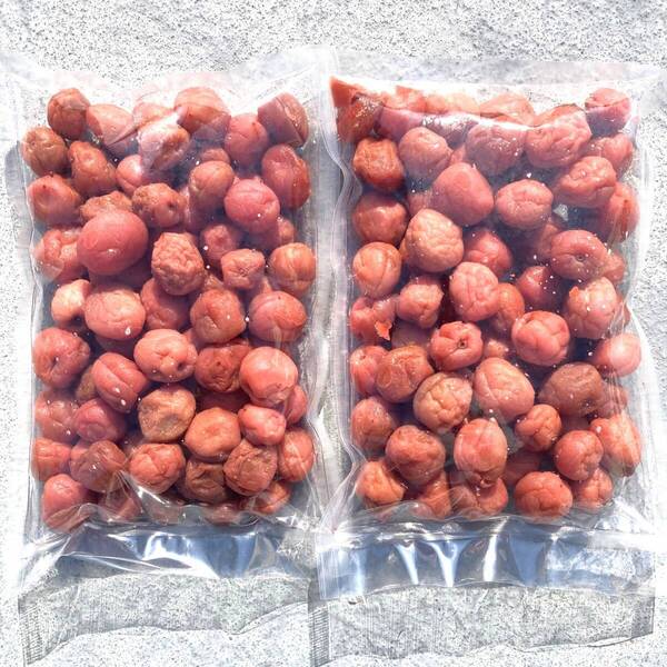63【訳あり 満足の大容量 1kg 小梅 紀州南高梅 しそ漬け梅 塩分8% 和歌山】梅干し 梅 梅干 漬物