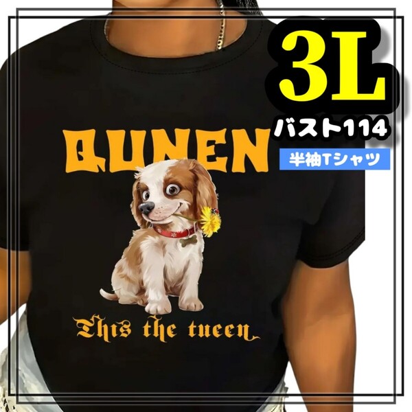 大きいサイズ レディース 半袖 Tシャツ 犬 QUEEN イラスト 黒 オーバーサイズ カジュアル 3L 4L XL ヒップホップ ストリート プリント XXL
